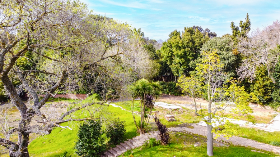 0 Bedroom Property for Sale in Bishopscourt Western Cape